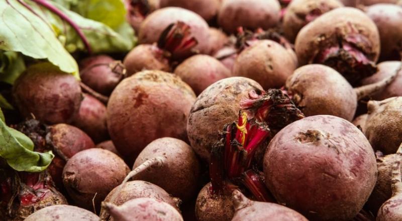 Хранение свеклы: условия, сроки и лучшие способы сохранить корнеплоды до весны