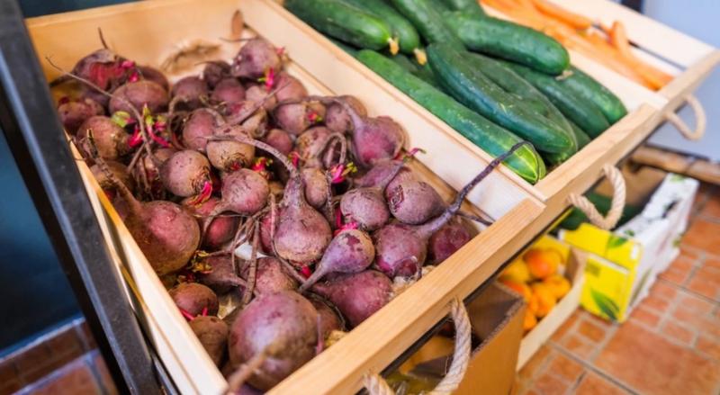 Хранение свеклы: условия, сроки и лучшие способы сохранить корнеплоды до весны